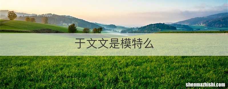 于文文是模特么