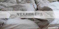 淘宝天天团购是什么