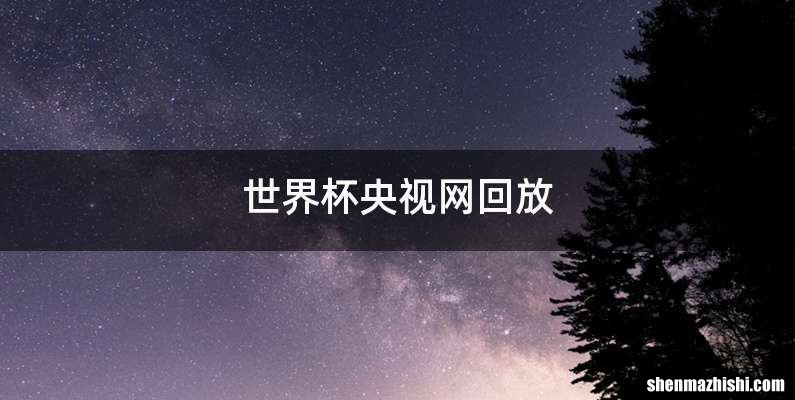世界杯央视网回放