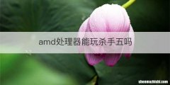 amd处理器能玩杀手五吗