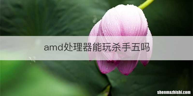 amd处理器能玩杀手五吗