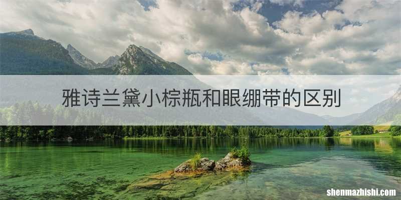 雅诗兰黛小棕瓶和眼绷带的区别