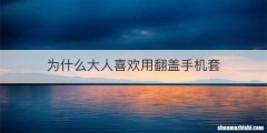 为什么大人喜欢用翻盖手机套