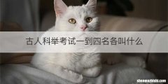 古人科举考试一到四名各叫什么