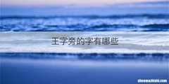 王字旁的字有哪些