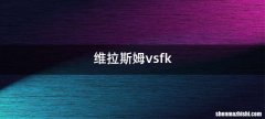 维拉斯姆vsfk