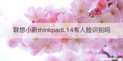 联想小新thinkpadL14有人脸识别吗