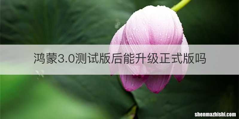 鸿蒙3.0测试版后能升级正式版吗