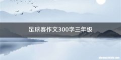 足球赛作文300字三年级