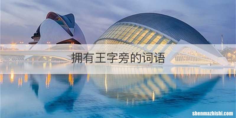 拥有王字旁的词语