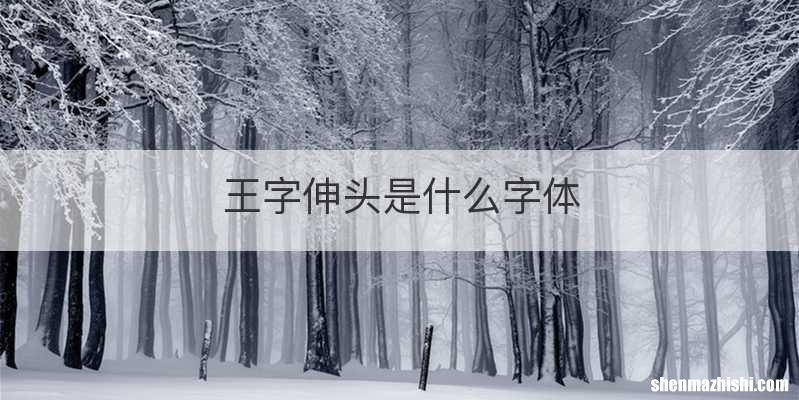 王字伸头是什么字体