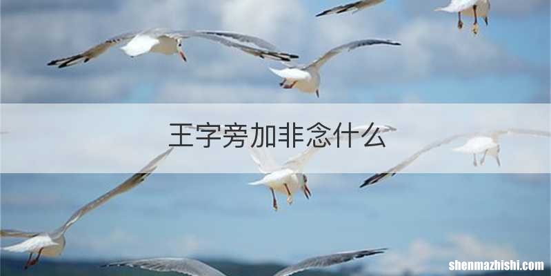 王字旁加非念什么