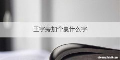 王字旁加个襄什么字