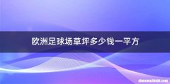 欧洲足球场草坪多少钱一平方