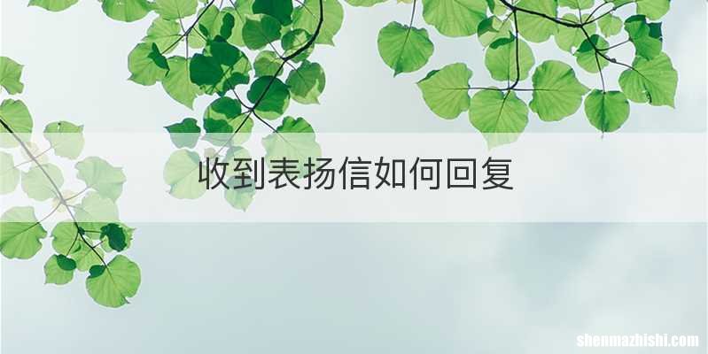 收到表扬信如何回复