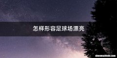 怎样形容足球场漂亮