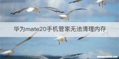 华为mate20手机管家无法清理内存