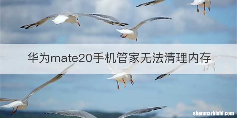 华为mate20手机管家无法清理内存
