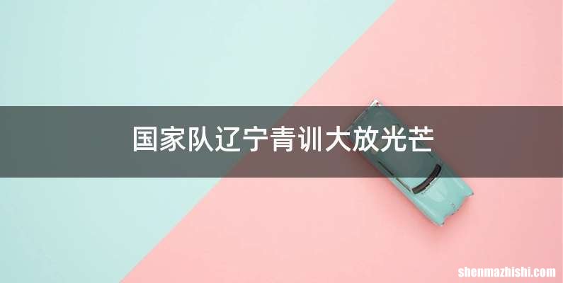 国家队辽宁青训大放光芒