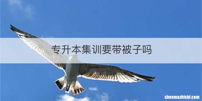 专升本集训要带被子吗