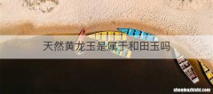 天然黄龙玉是属于和田玉吗
