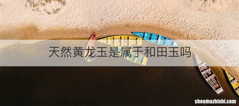 天然黄龙玉是属于和田玉吗