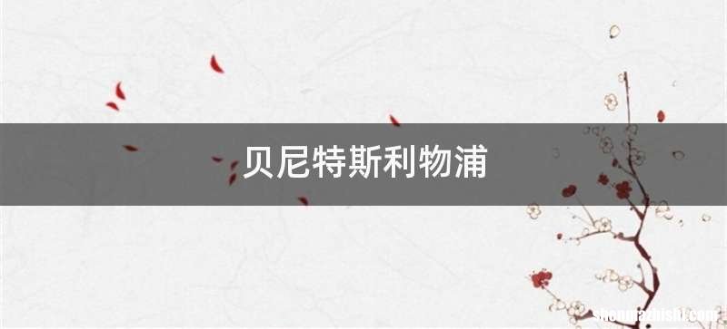 贝尼特斯利物浦