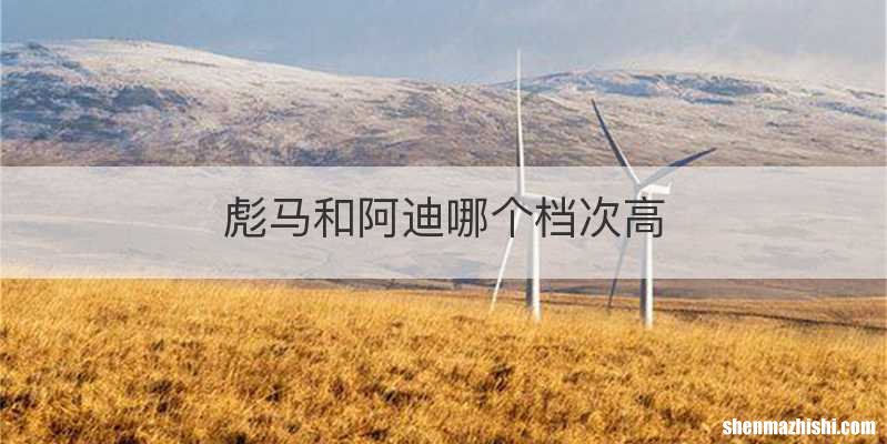 彪马和阿迪哪个档次高