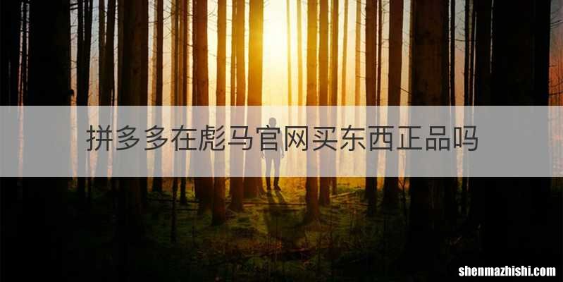 拼多多在彪马官网买东西正品吗