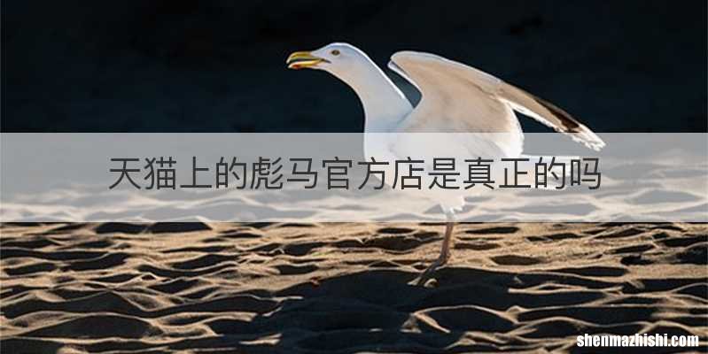 天猫上的彪马官方店是真正的吗