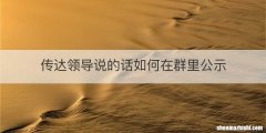 传达领导说的话如何在群里公示