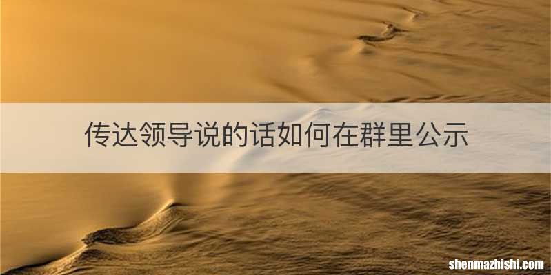 传达领导说的话如何在群里公示