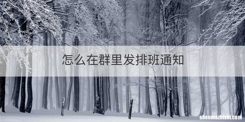 怎么在群里发排班通知