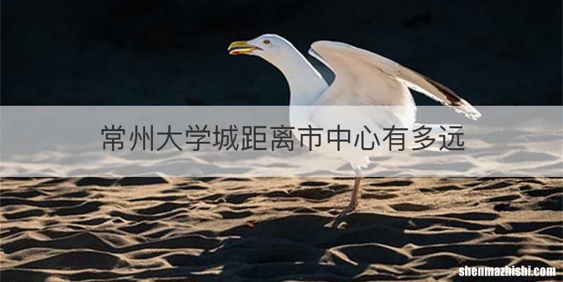 常州大学城距离市中心有多远