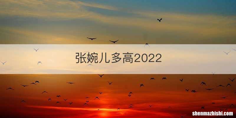 张婉儿多高2022