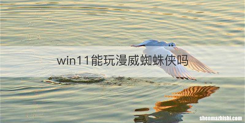 win11能玩漫威蜘蛛侠吗
