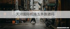 天河国际机场五条跑道吗