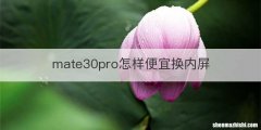 mate30pro怎样便宜换内屏