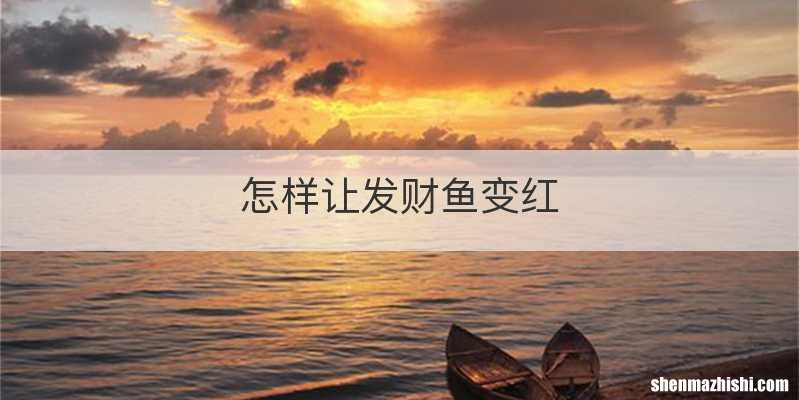 怎样让发财鱼变红
