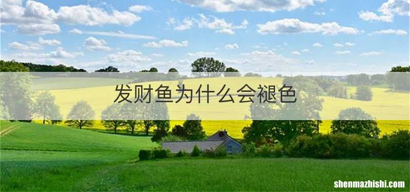 发财鱼为什么会褪色
