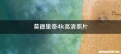 莫德里奇4k高清照片