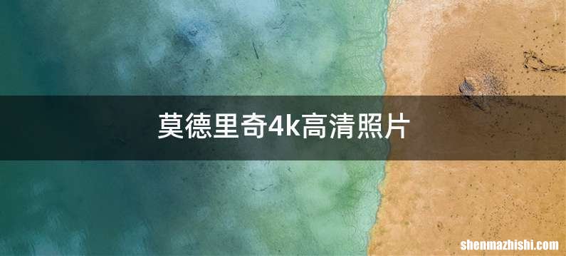 莫德里奇4k高清照片