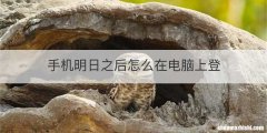手机明日之后怎么在电脑上登