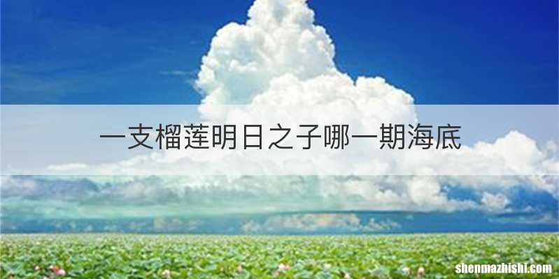 一支榴莲明日之子哪一期海底