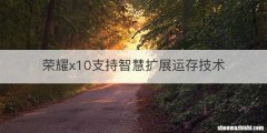 荣耀x10支持智慧扩展运存技术