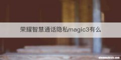 荣耀智慧通话隐私magic3有么