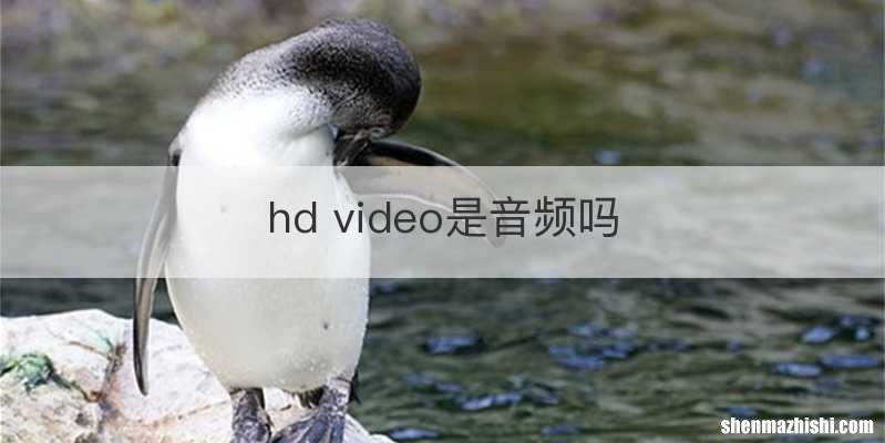 hd video是音频吗