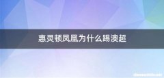 惠灵顿凤凰为什么踢澳超