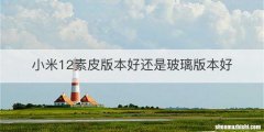 小米12素皮版本好还是玻璃版本好