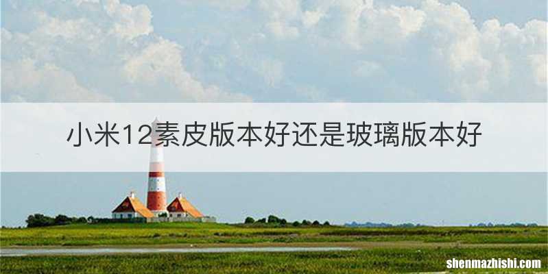 小米12素皮版本好还是玻璃版本好